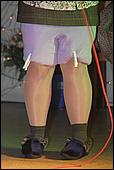 304.jpg