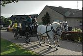 207.jpg