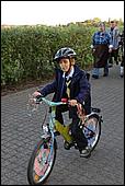 331.jpg