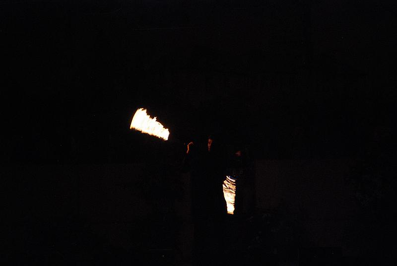 278.jpg